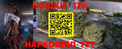 индика Дубна