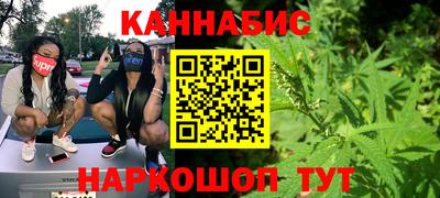 индика Дубна