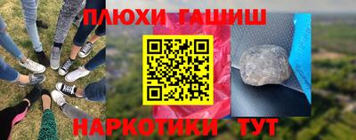 индика Дубна